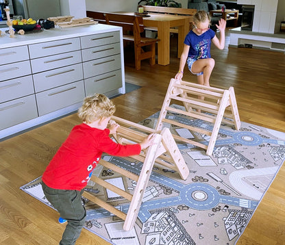 Loopo Froggie 2in1