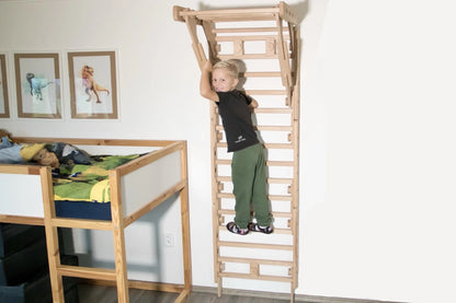 Loopo Mini Gym 5in1