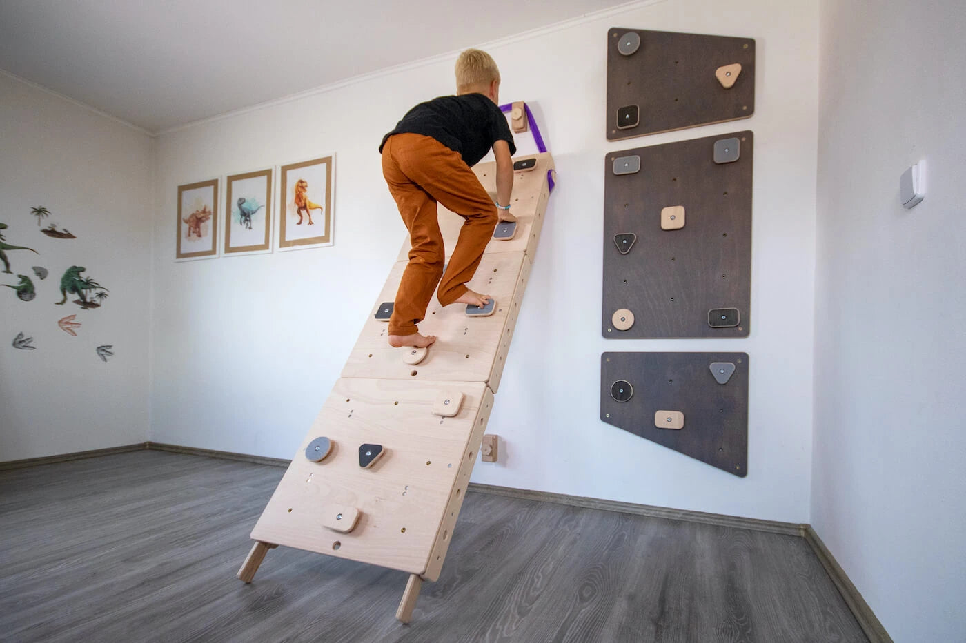 Loopo Monkey 7in1