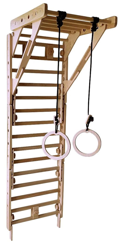 Gym Rings